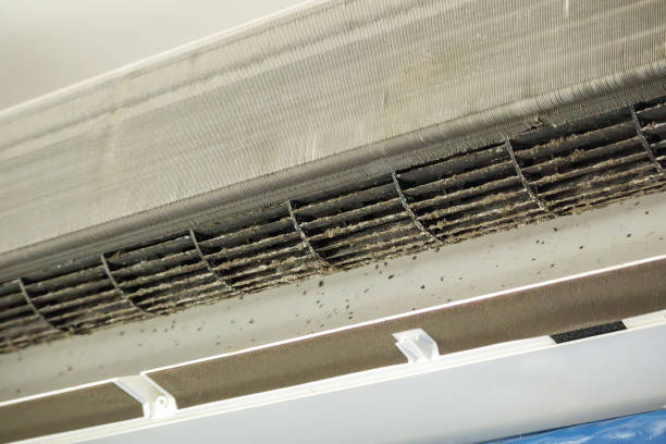 Best Air Vent Cleaning Services  in Kewaskum, WI